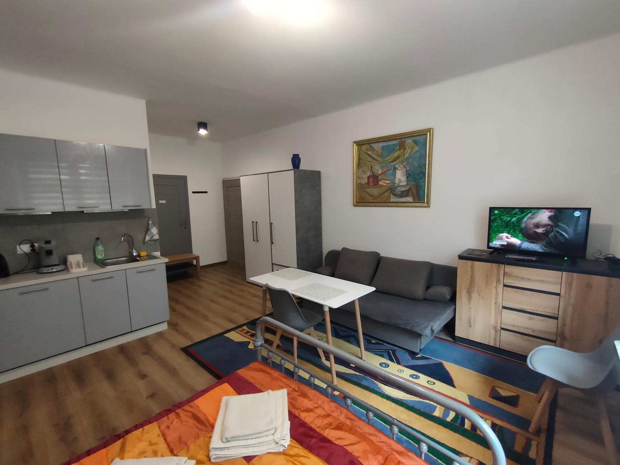 With Kitchenette Apartment